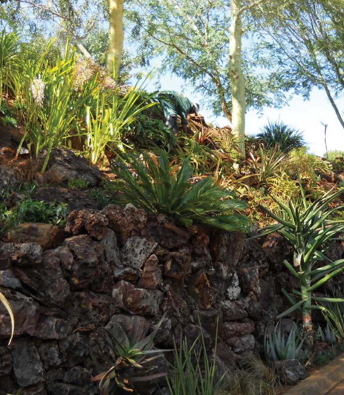 Hardscape Design/Creation